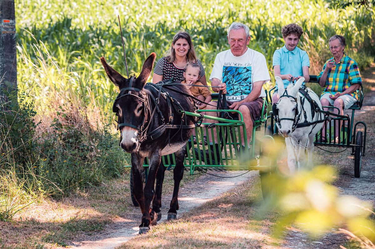 Vacances en Lot-et-Garonne : 5 balades insolites en bateau, train, vélo…