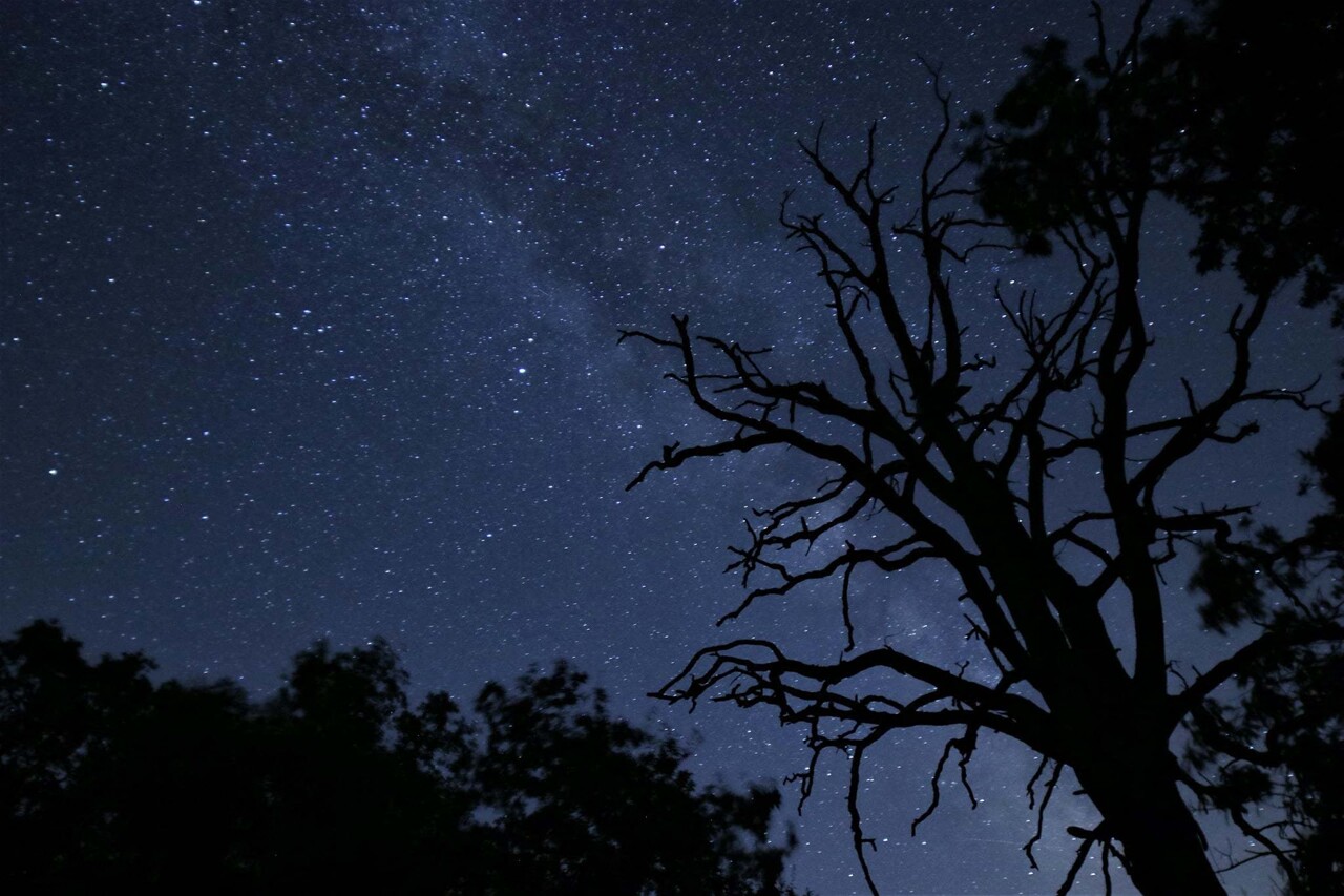 Le Mans. Nuit des étoiles : les animations prévues à l’Arche de la nature